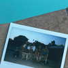annabottoo Altpins Profile Picture