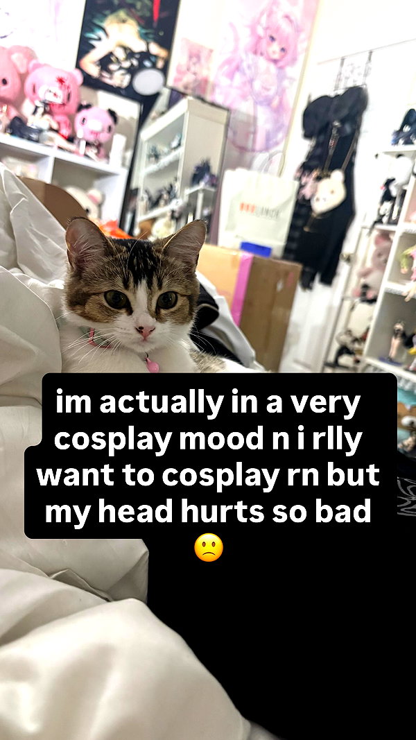 ashisbees instagram image archive image