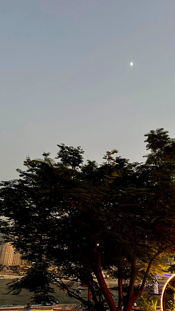 veroni22ka instagram image archive image
