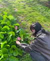 _urbaneva Altpins Profile Picture