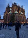 dustheadd Altpins Profile Picture