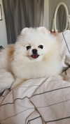 imshigh_ Altpins Profile Picture