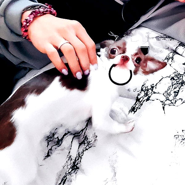 atlaseuu instagram image archive image