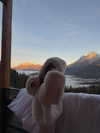 zoeliss Altpins Profile Picture