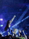 dualipa Altpins Profile Picture