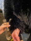 onlyway2liv Altpins Profile Picture
