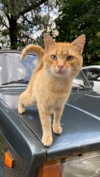 3xiiicom Altpins Profile Picture