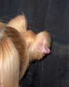 hhh.e_c.v Altpins Profile Picture