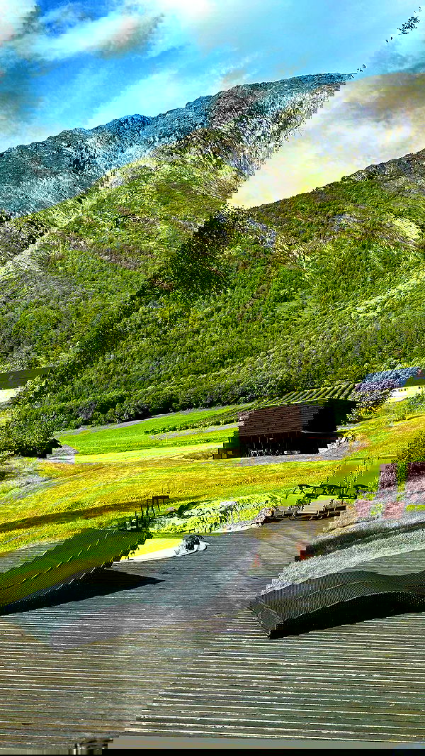 taylor.creeden taylor.creeden archive image