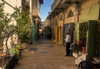 _femalien Altpins Profile Picture