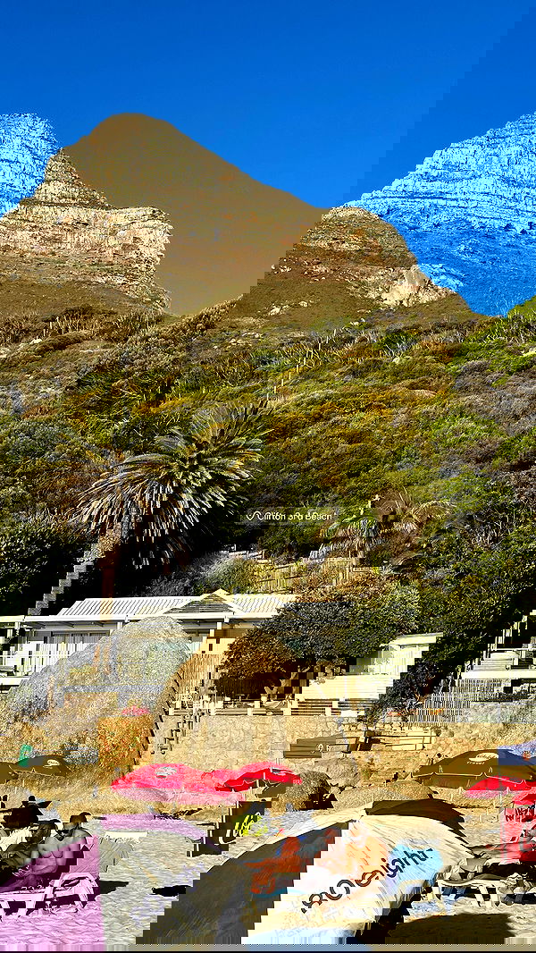 taylor.creeden taylor.creeden archive image