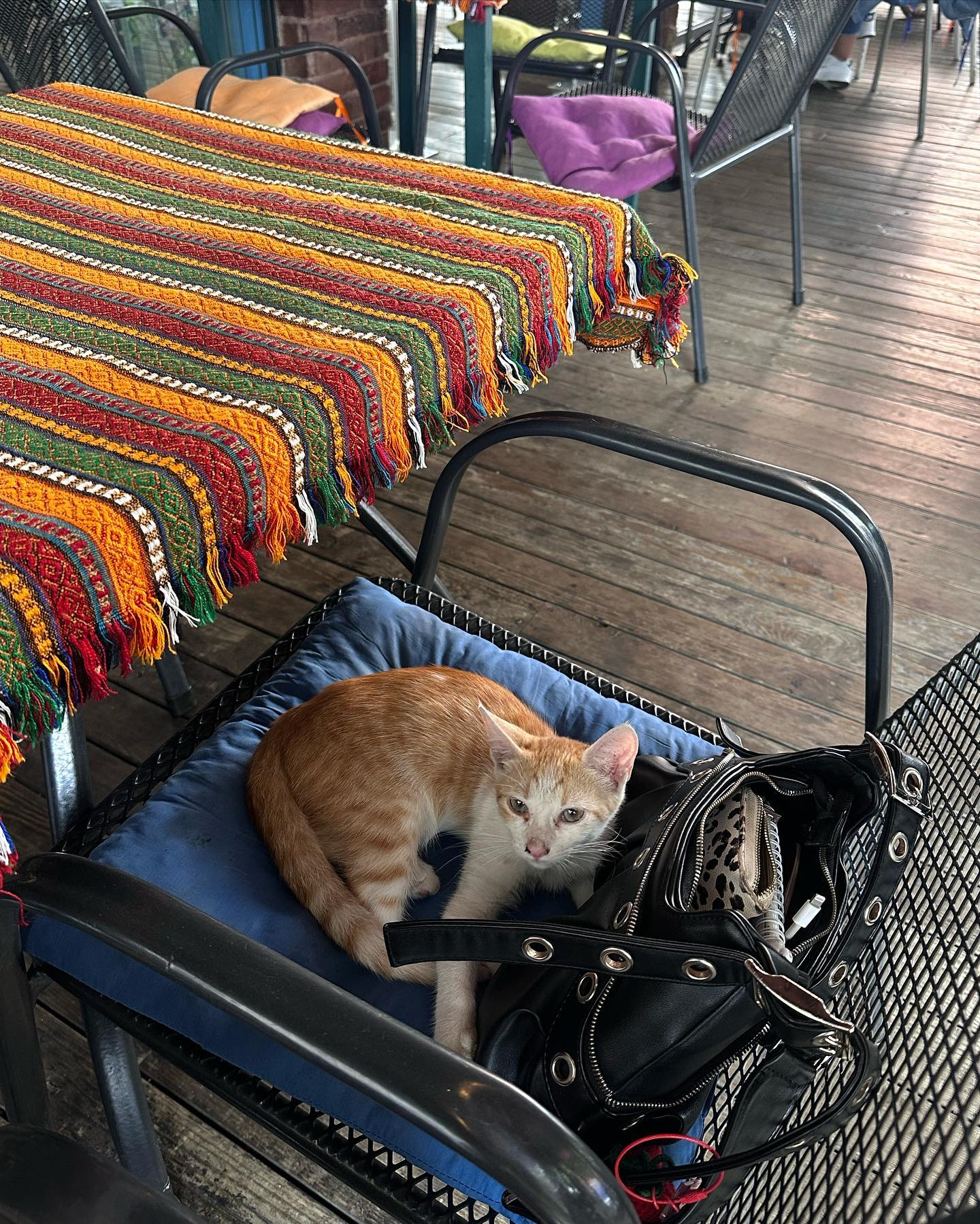 kkulakovaa instagram image archive image