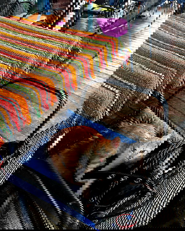 kkulakovaa image ~ Altpins