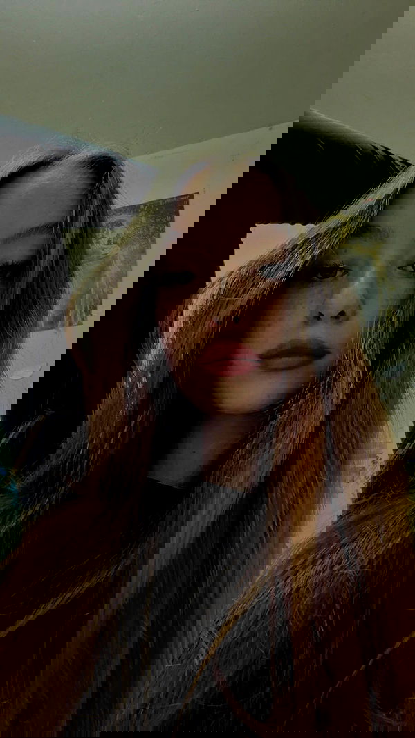 _._dianush._ _._dianush._ archive image