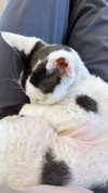 marilyn_damaged Altpins Profile Picture