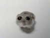 ambrzinha666 Altpins Profile Picture