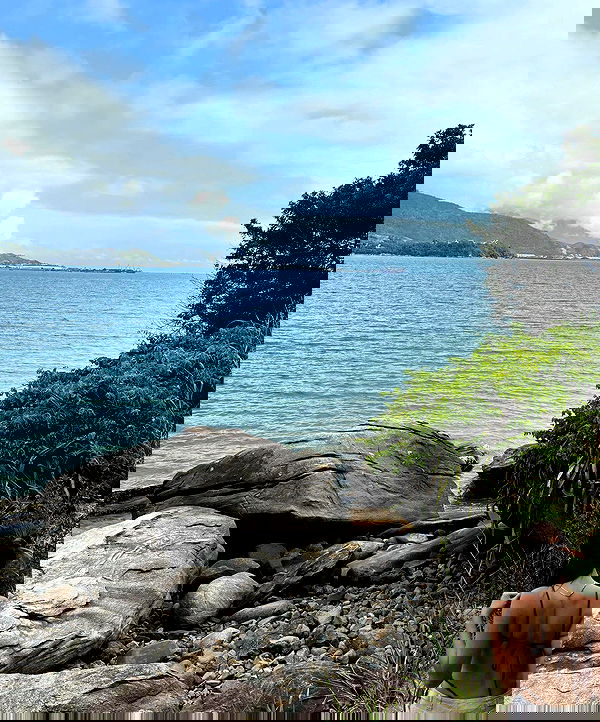 eusandyyh eusandyyh archive image