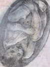gisellelee8 Altpins Profile Picture
