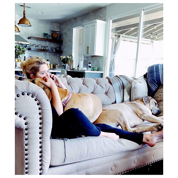 sashapieterse instagram image archive image
