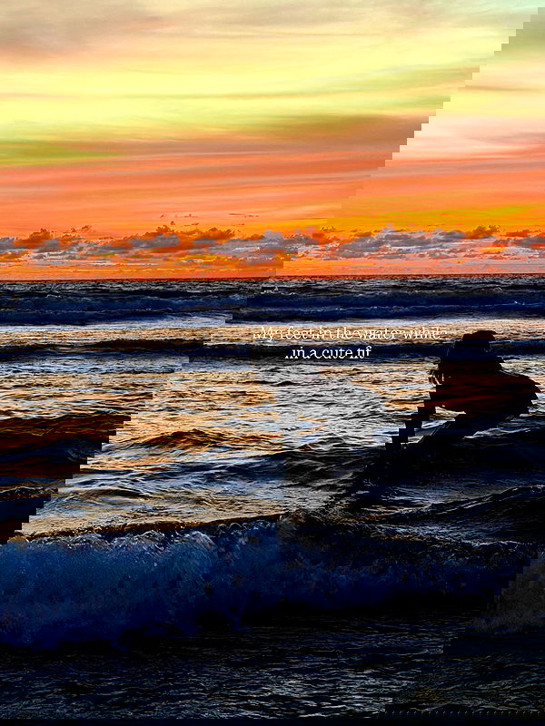 taylor.creeden taylor.creeden archive image