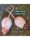 milkiwifey Altpins Profile Picture