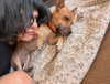 lizapropa Altpins Profile Picture