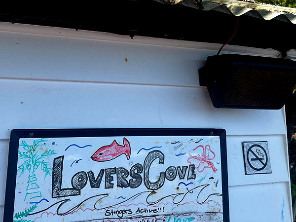 Archived image from @deanapourian on Instagram