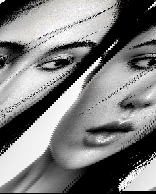 taylor.creeden taylor.creeden archive image