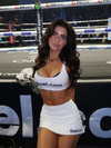 laurenhamden Altpins Profile Picture