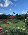 solzarubin_ Altpins Profile Picture