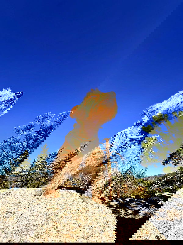 viezery viezery archive image