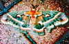 bugz4brainz Altpins Profile Picture