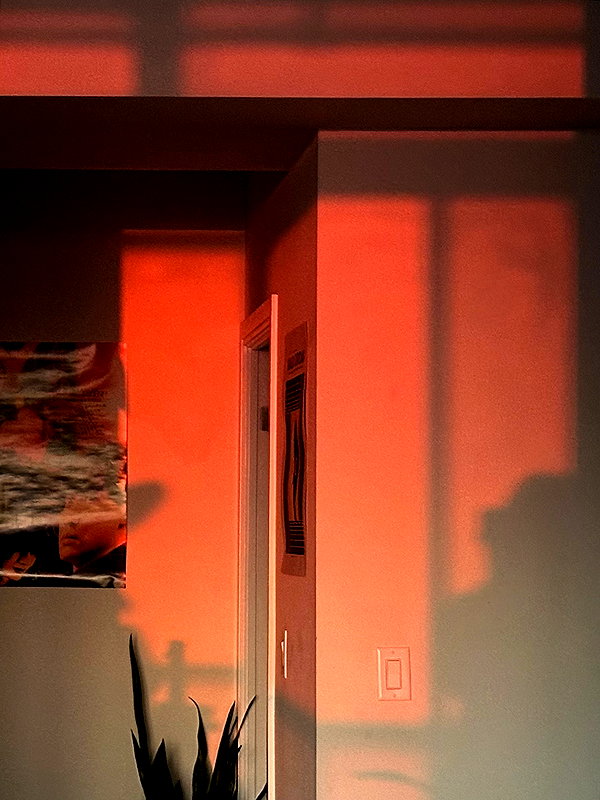 kurodahana instagram image archive image