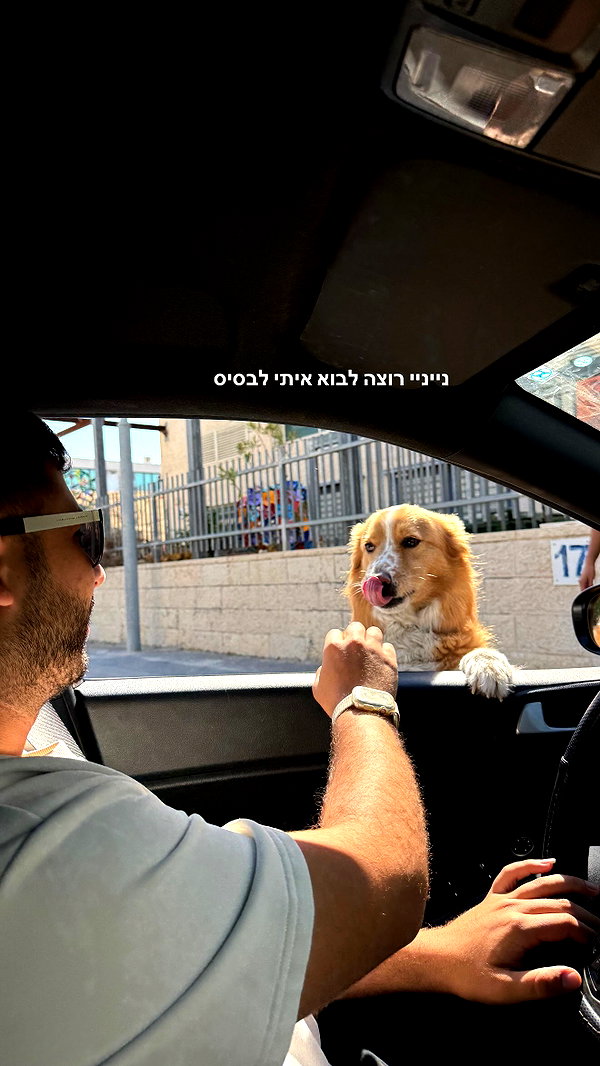 biton__adi biton__adi archive image