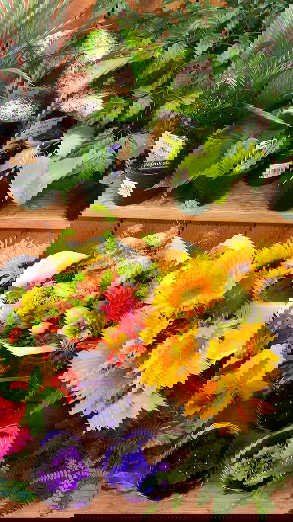 taylor.creeden taylor.creeden archive image