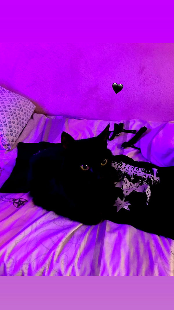 tiny.eviluv instagram image archive image