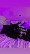 tiny.eviluv Altpins Profile Picture