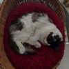 borkwsmh Altpins Profile Picture