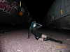 cyber.st4rz Altpins Profile Picture