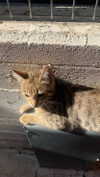 babynympho_archive Altpins Profile Picture