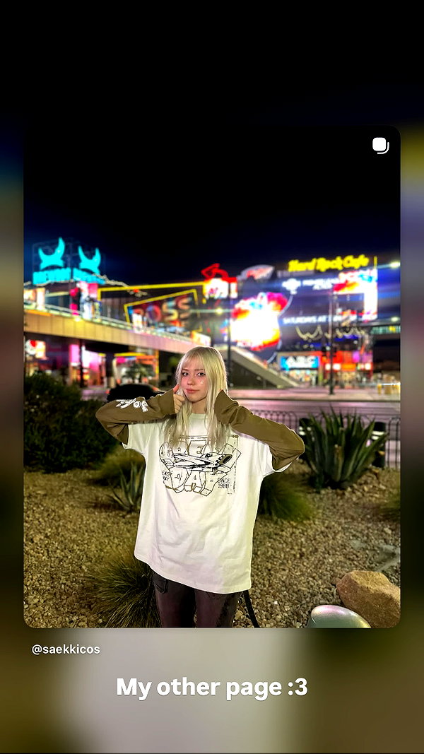 saekkico instagram image archive image