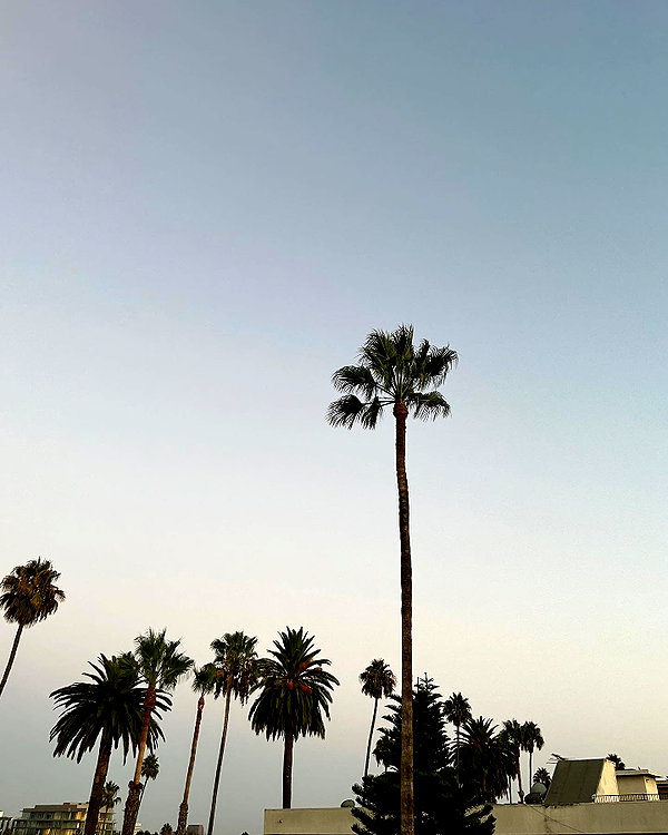 emmaaurora instagram image archive image