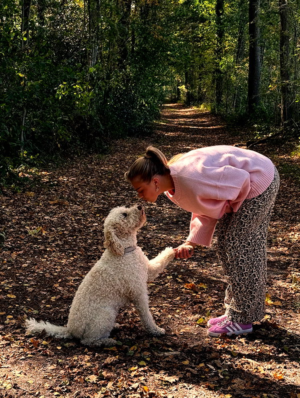 danamrts instagram image archive image