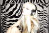amellliiaa Altpins Profile Picture