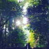 muze Altpins Profile Picture