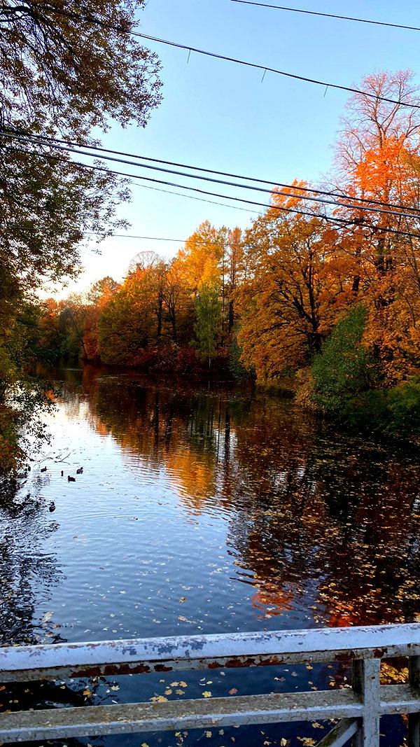 avestanova instagram image archive image