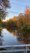 avestanova Altpins Profile Picture