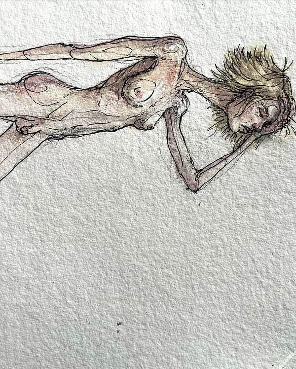 hunterschafer instagram image archive image