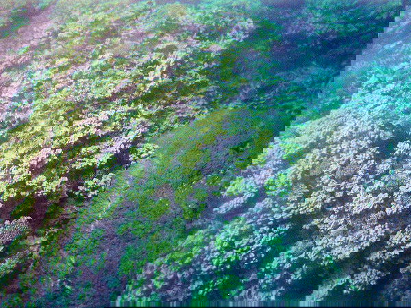 taylor.creeden taylor.creeden archive image