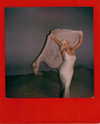 xtina Altpins Profile Picture